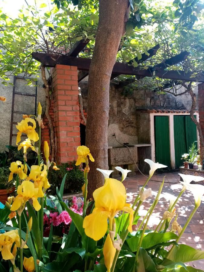 Nossa Casa Na Aldeia Apartment Viseu Exterior photo
